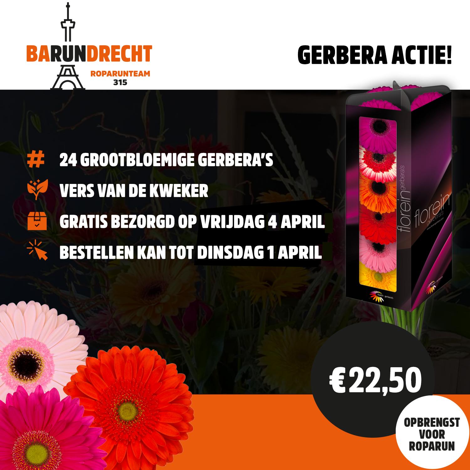 Gerbera Actie 2025